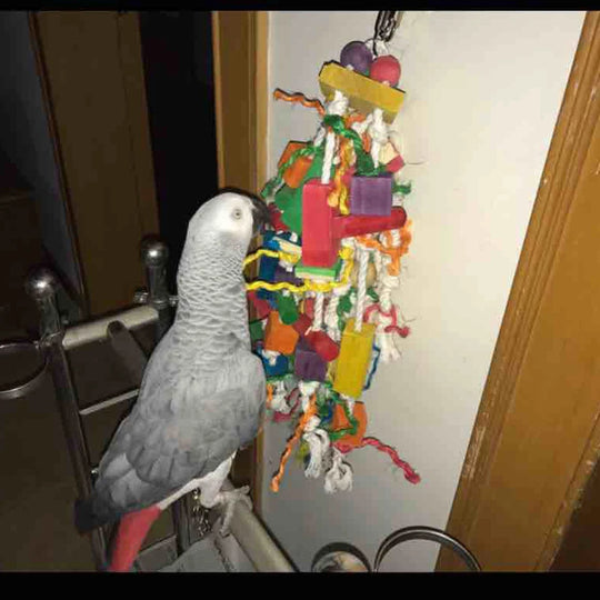Bird Toys, Parrot Chewing Toy, Multicolored Wooden Blocks Tearing Toys for African Grey Cockatiel Conure Cockatoo and Medium Ama