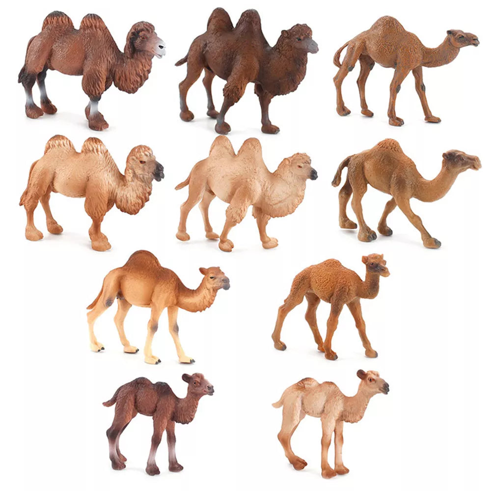 Simulation Camel Action Figure Wild Animals Figurines Desert Captive Realistic Models Kids Children Toys Gift Home Decor Collect